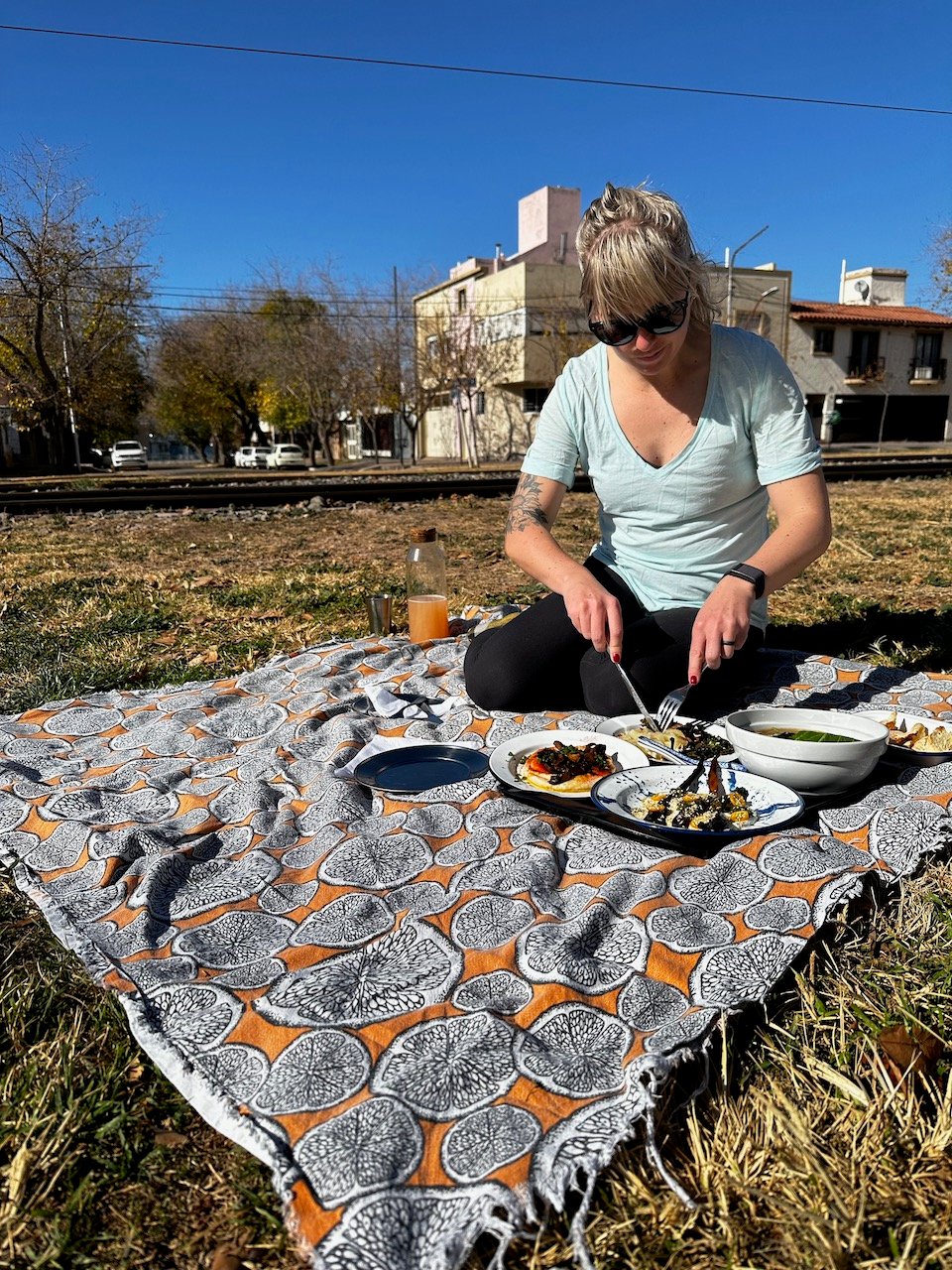 Picnic in Mendoza